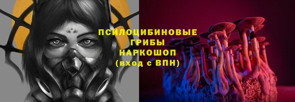 индика Аркадак