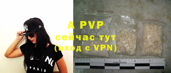 сатива Арсеньев