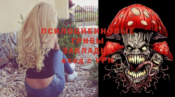 индика Аркадак