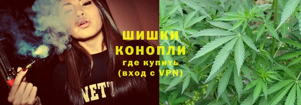 сатива Арсеньев