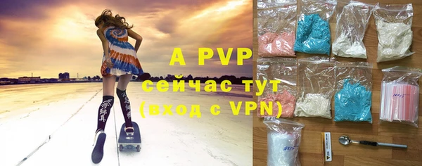 индика Аркадак