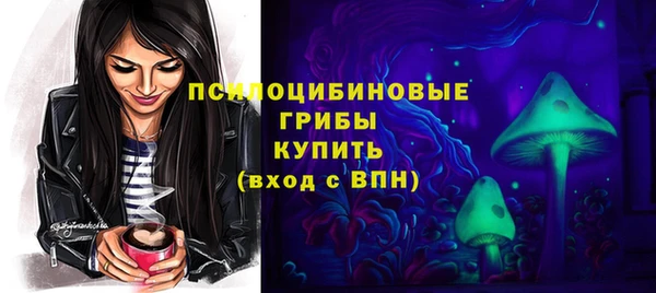 индика Аркадак